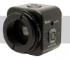 WAT-535EX2 - Int./Ext. sync.